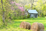 Old Cabin at Lost Valley