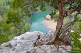 Old Juniper and Buffalo River