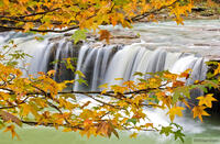 Falling Water Falls II