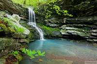 Magnolia Falls I