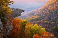 Autumn Splendor