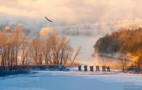 Hoar Frost at Sunrise in the Ozark Mountains