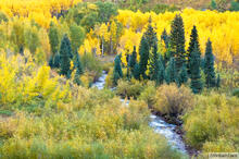 Maroon Creek