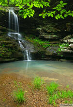 Magnolia Falls V