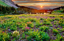 Sunset - Gold King Basin