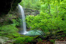 Bowers Hollow Waterfall I