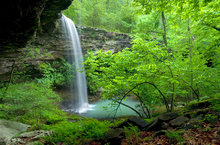Bowers Hollow Waterfall I