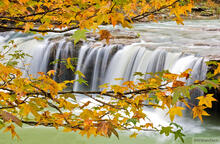 Falling Water Falls II
