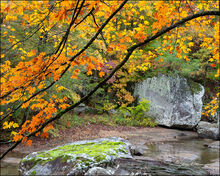 Fall Color - Richland Creek