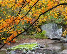 Fall Color - Richland Creek