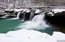 Winter Wonderland