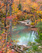 A calm pool of water and reflections framed by hardwood trees at peak fall color - Falling Water Creek, Arkansas.