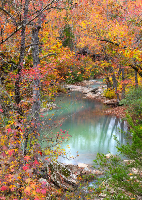 A calm pool of water and reflections framed by hardwood trees at peak fall color - Falling Water Creek, Arkansas.