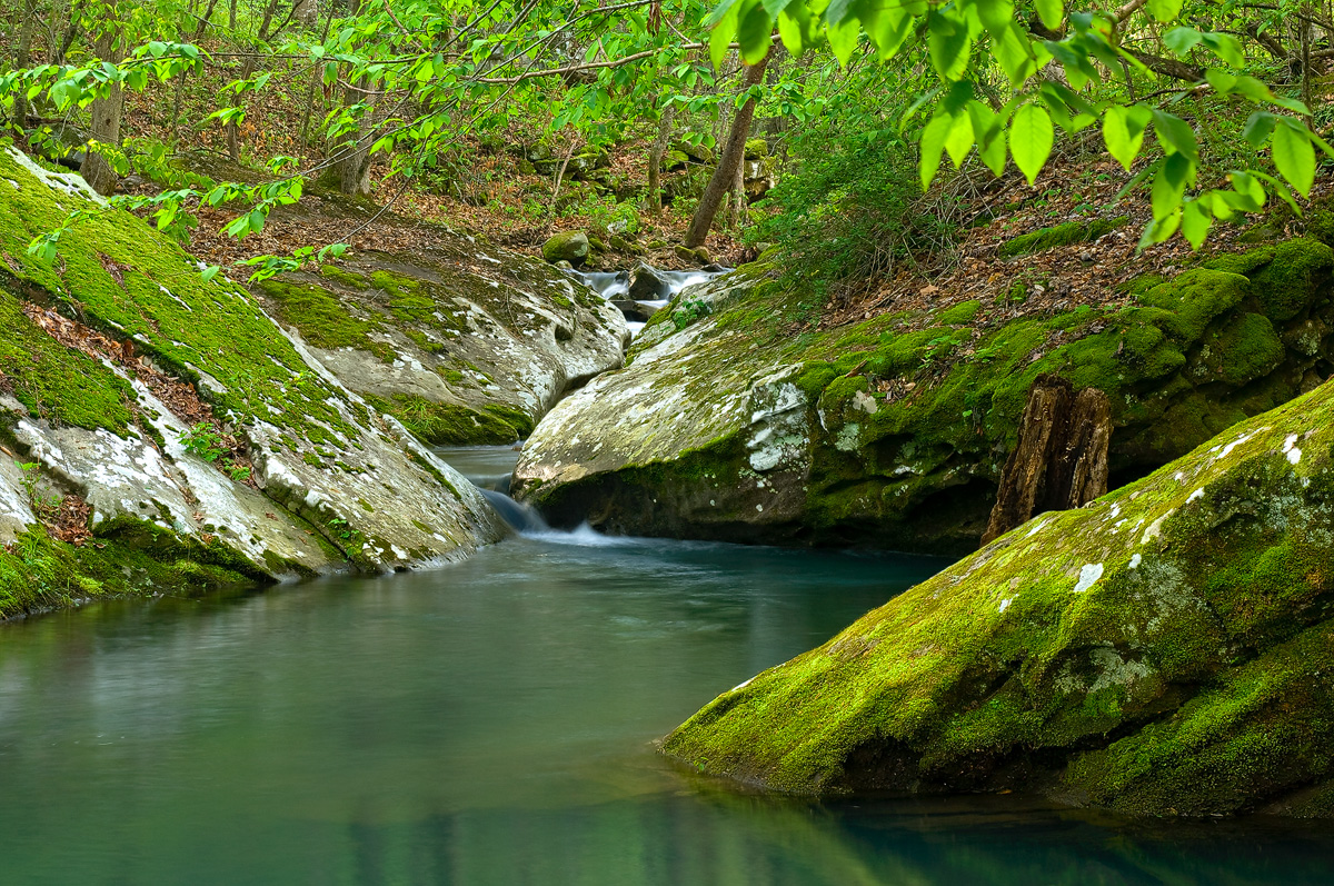 A quiet pool of crystal clear water along Boen Gulf.  Arkansas Nature Photography