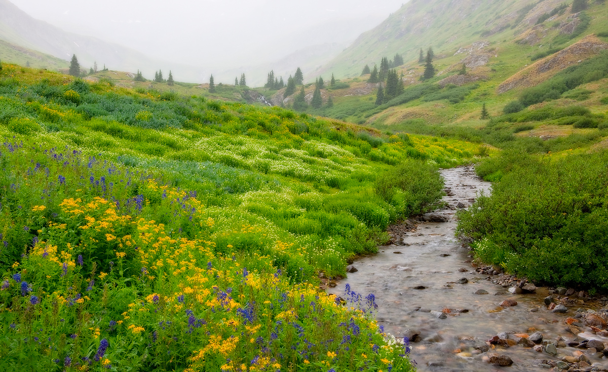 Fogs sets in over the Continental Divide, San Juan Mountains, Colorado.