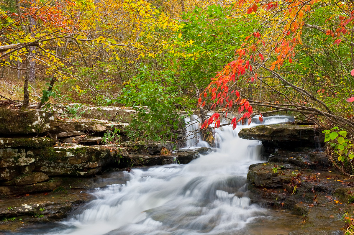 A nice palette of fall color above one of the many drainages feeding Richland Creek.  Arkansas Nature Photography