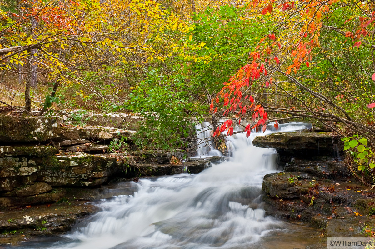 A nice palette of fall color above one of the many drainages feeding Richland Creek.  Arkansas Nature Photography