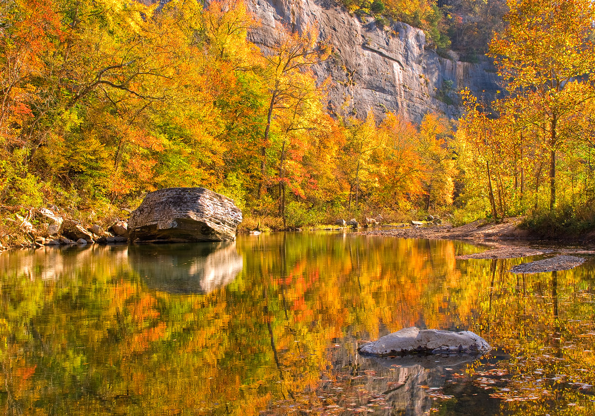Peak fall color near Steele Creek on the Buffalo River.  Arkansas Nature Photography