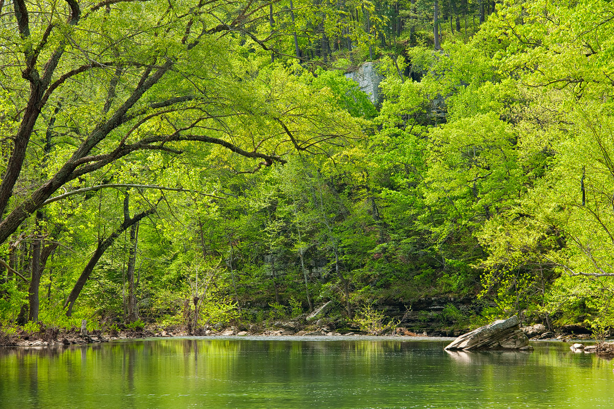 Brilliant greens line the banks of the Buffalo River in April...a great time for a canoe trip.Arkansas Nature Photography