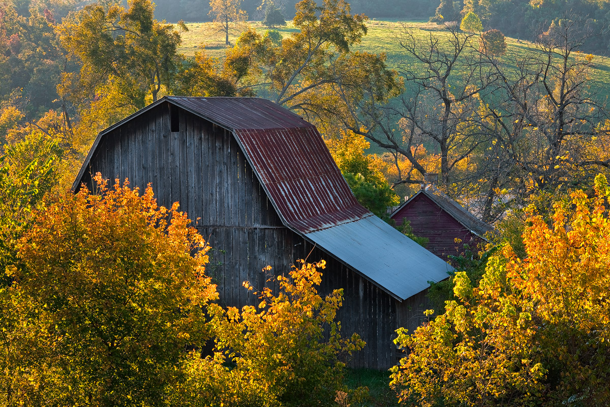 One of my favorite Ozark barns photographed during early autumn.