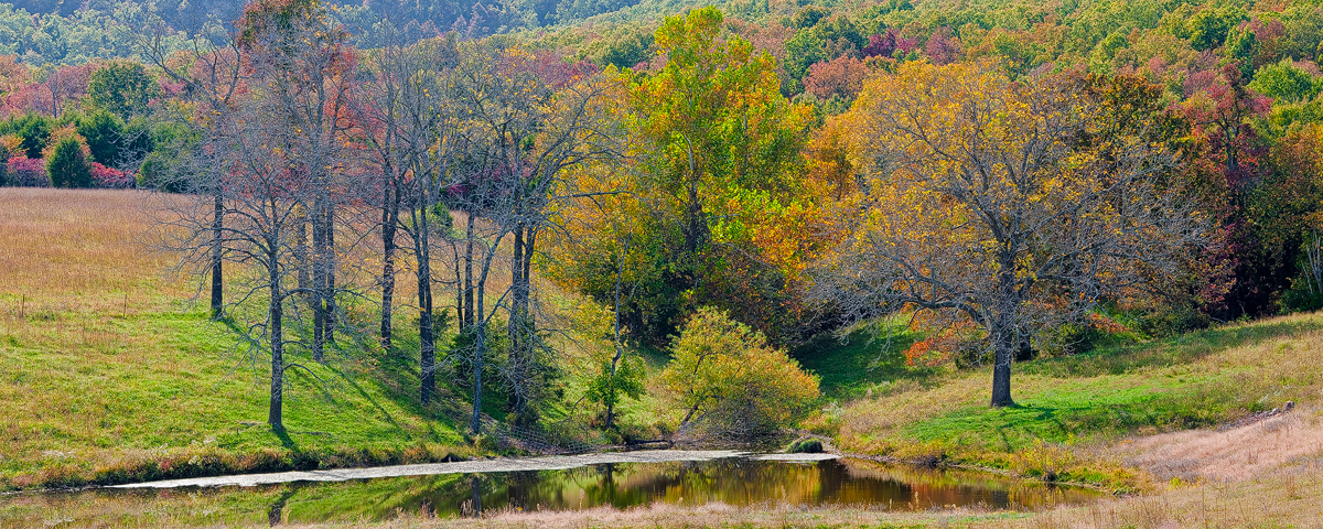 Just a scenic little Ozark pond with beautiful fall color in the background.