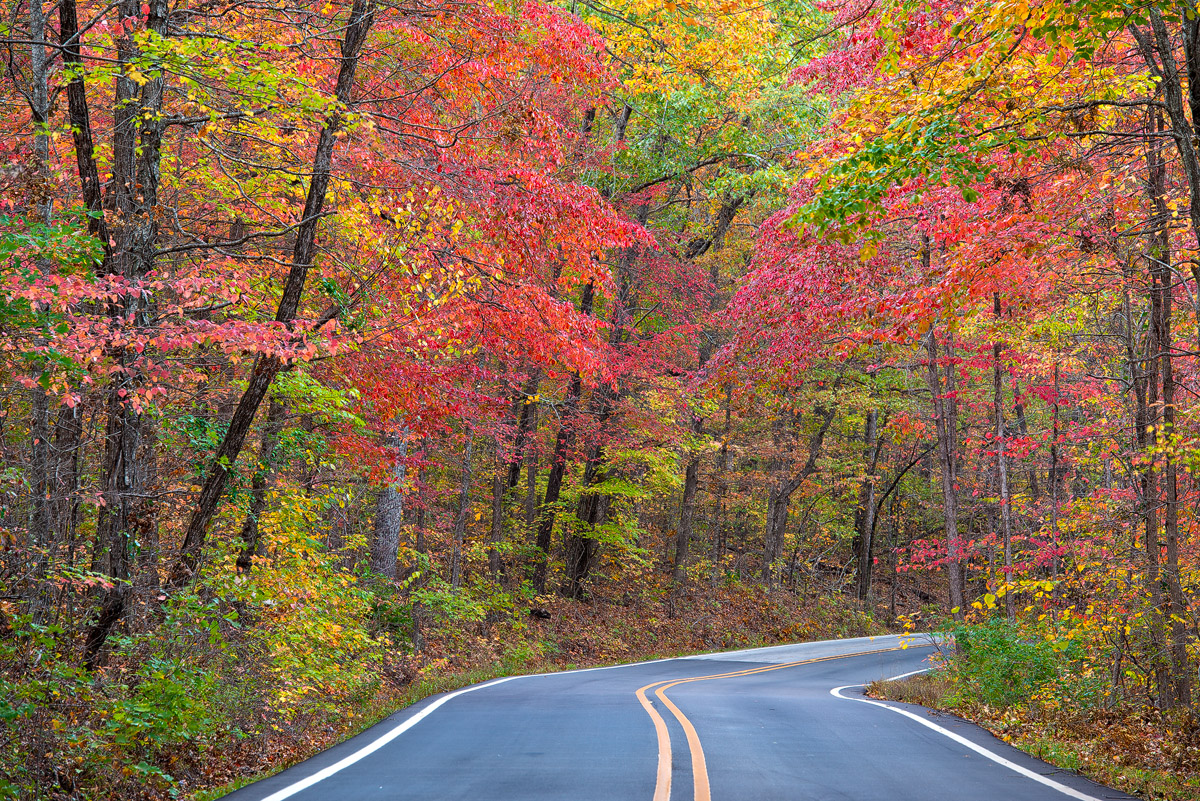 Taken along the legendary highway know as the "Pig Trail". &nbsp;Autumn color was the best in years during 2012.