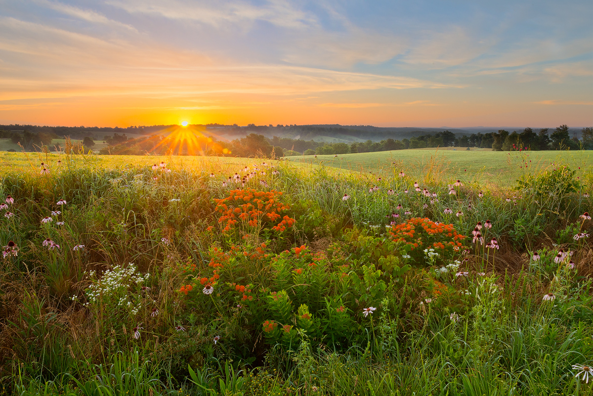 arkansas, ozark, sunrise, 171LS
