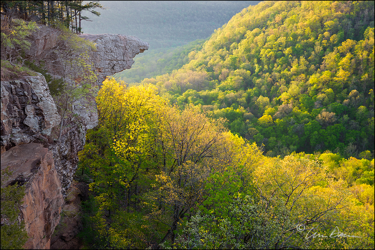 Early morning light floods the landscape with early spring color.