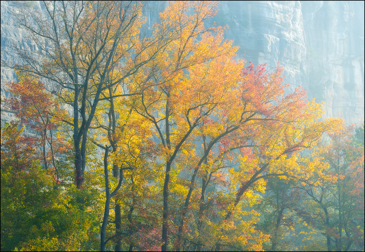 Early morning light breaks through the fog to begin another great autumn day on the Buffalo River.