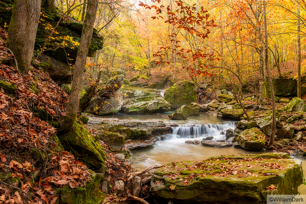 Early morning light floods a waterfall along Smith Creek, located near the Buffalo River in Newton County, Arkansas.  Owned and...