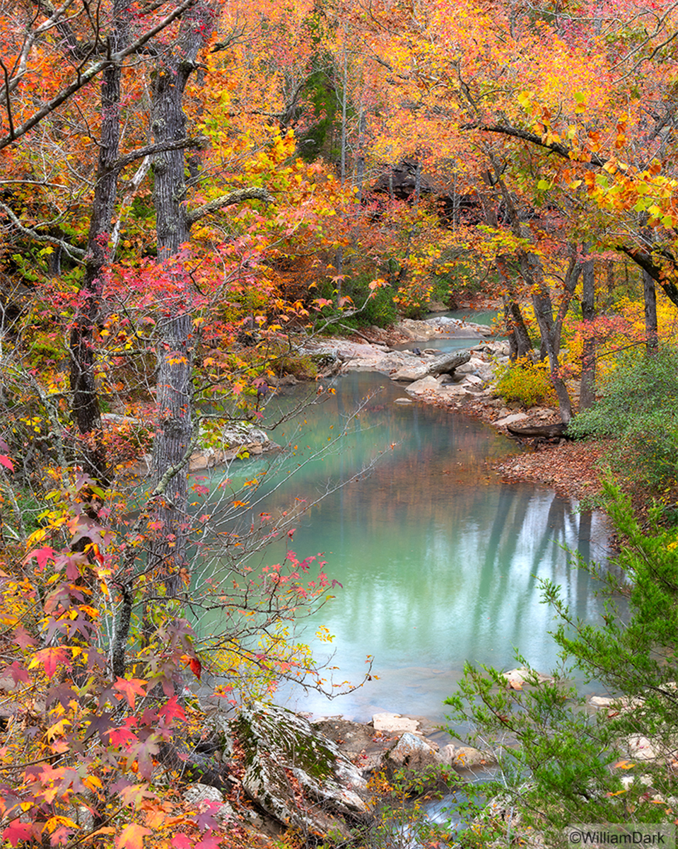A calm pool of water and reflections framed by hardwood trees at peak fall color - Falling Water Creek, Arkansas.