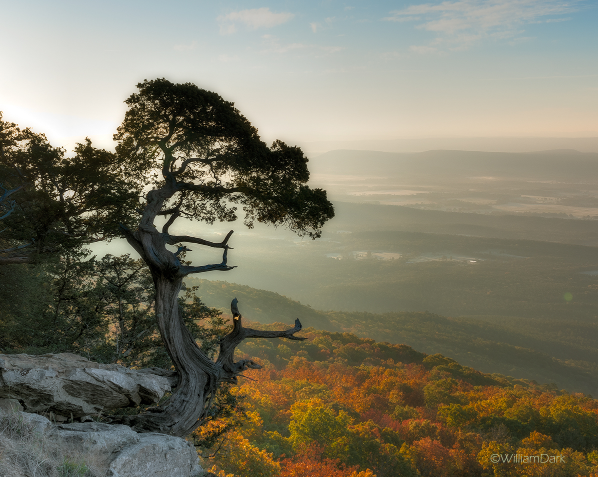 Autumn sunrise from the highest point in Arkansas, Mt. Magazine.